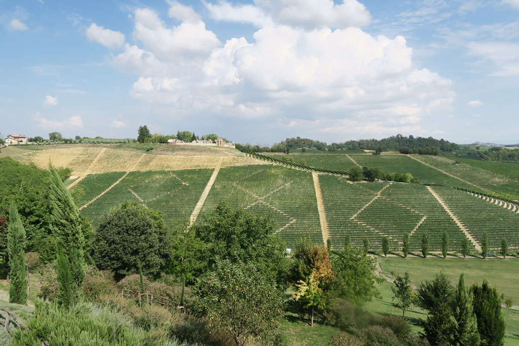 2014年にイタリア50番目の世界遺産として登録された「ピエモンテの葡萄畑の景観、ランゲ・ロエロ・モンフェッラート」